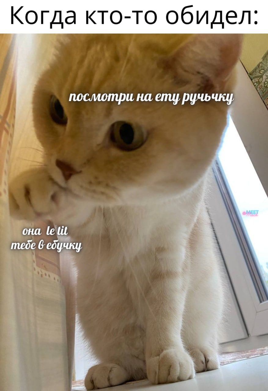 Когда кто-то обидел: посмотри на emy ручьчку ona tit тебе 6
