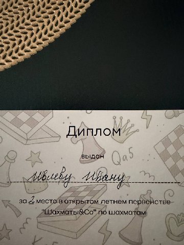 Иван Палыч занял сегодня 2 место в турнире по шахматам. В прошлый раз был 3й.
Горжусь ❤️