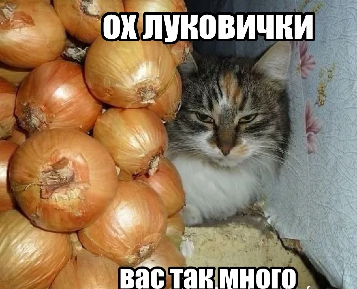Bae Tak много