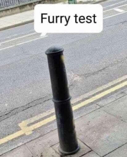 Furry test