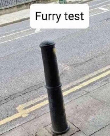 Furry test