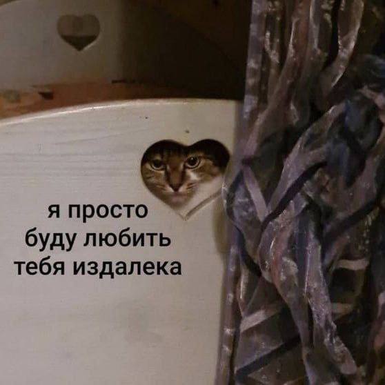 [1 я просто буду любить тебя издалека i