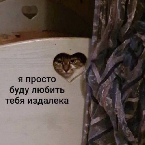 [1 я просто буду любить тебя издалека i