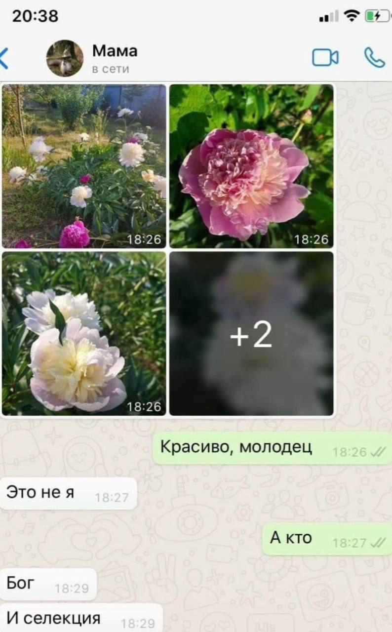 20:38 a7 Mama “4 18:26 +2 18:26 Красиво, молодец Это нея А кто Бог И селекция