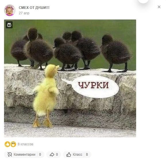 СМЕХ ОТ ДУШИ!!! 27 anp 3 комментарии 0 20 8