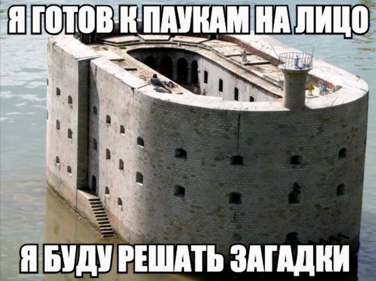 ГОТОВ:Н:ПАУКАМ ЛИ me i wil Я БУДУ РЕШАТЬ ЗАГАДКИ