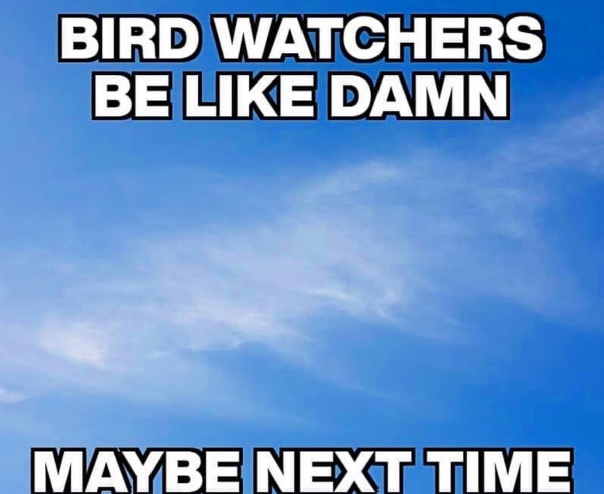 BIRD WATCHERS BE LIKE DAMN МАУВЕ NEXT TIME