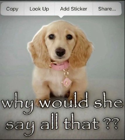 Look Up Add Sticker Shi why would she all that