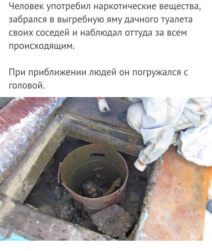 Человек употребил наркотические вещества, забрался в выгребную яму дачного туалета своих соседей и наблюдал оттуда за всем происходящим. При приближении людей он погружался с головой. as 3