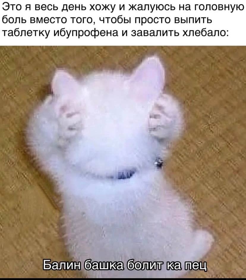 Это я весь день хожу и жалуюсь на головную боль вместо того, чтобы просто выпить таблетку ибупрофена и завалить хлебало: Балин башка болит neu