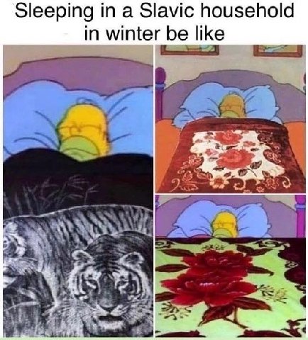 Sleeping in a Slavic household in winter be like