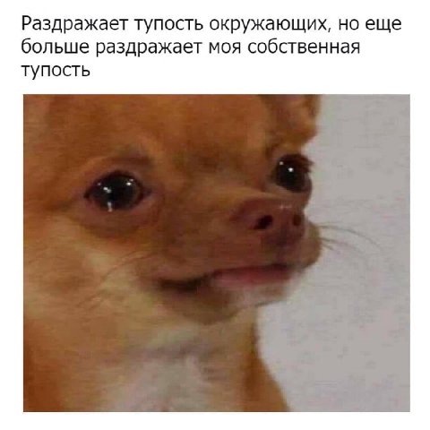 Раздражает тупость окружающих, но еще больше раздражает моя собственная тупость