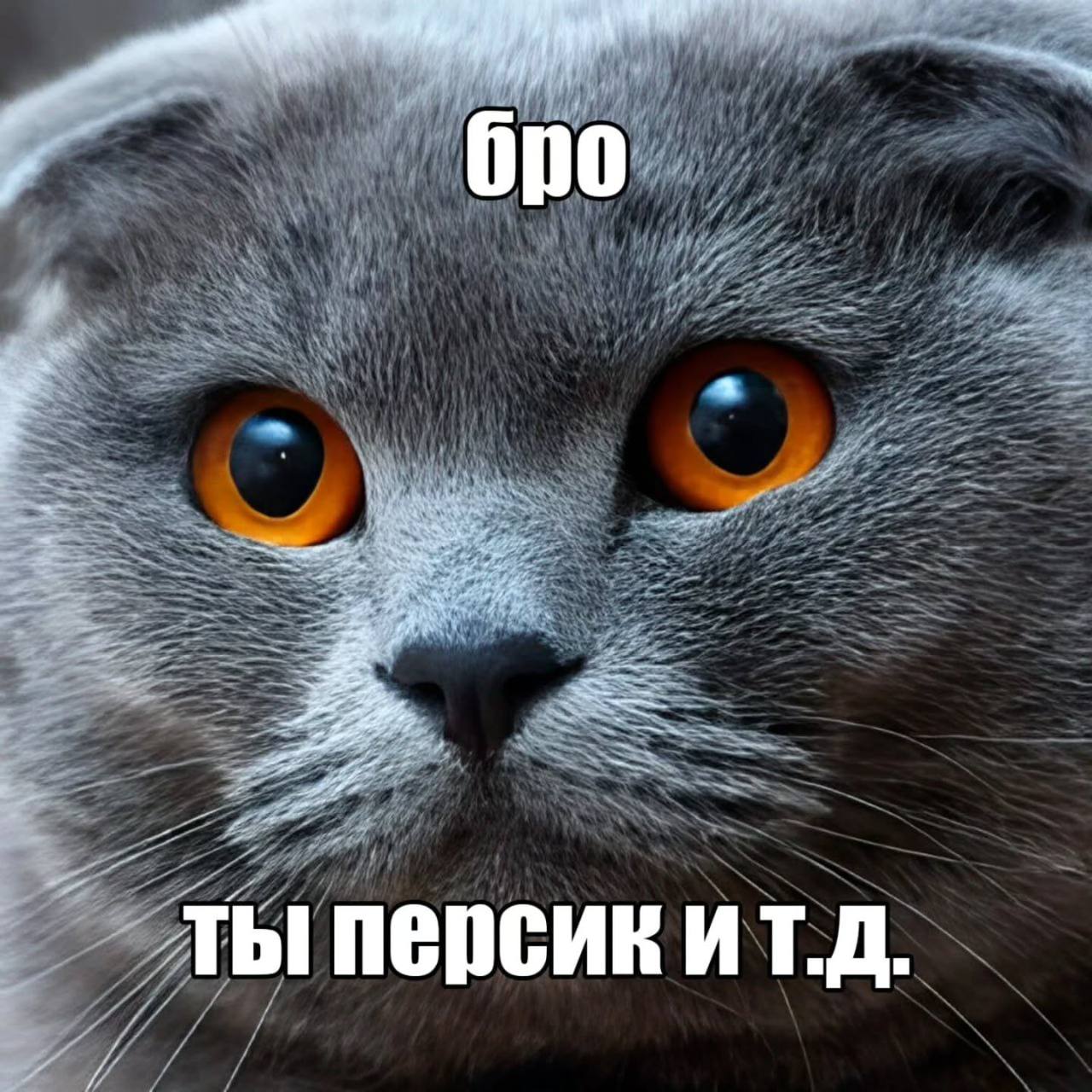 бро ты персик ит.д.