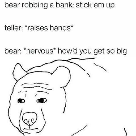 bear robbing a bank: stick up teller: *raises bear: *nervous* howd you get so big