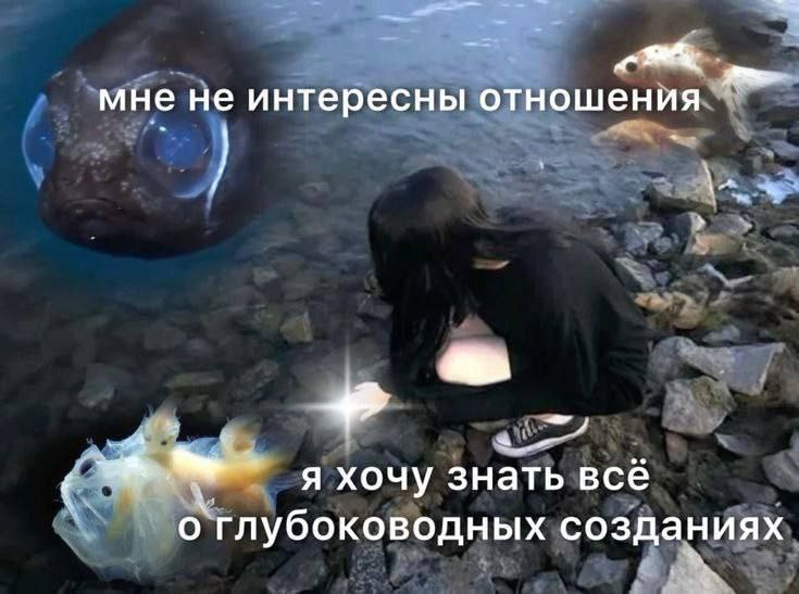 мне не интересны отношения я хочу знать все о глубоководных созданиях