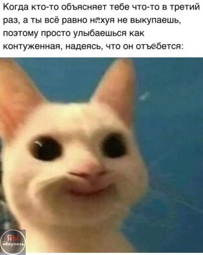 Когда кто-то объясняет тебе что-то в третий раз, а ты всё равно н®хуя не выкупаешь, поэтому просто улыбаешься как контуженная, надеясь, что он отъебется: обнулись]