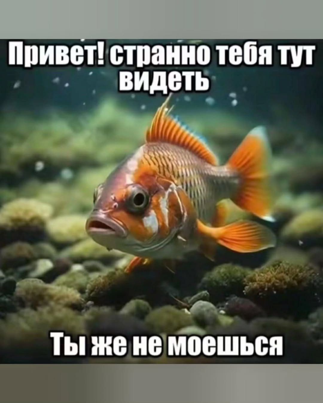 Привет! странно тебя тут ВИДЕТЬ a Ты жене моешься