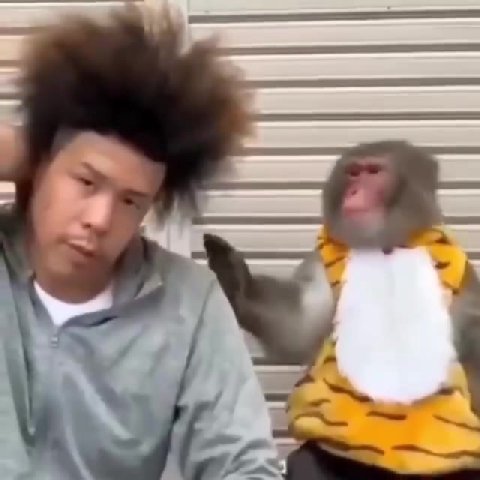 9% в