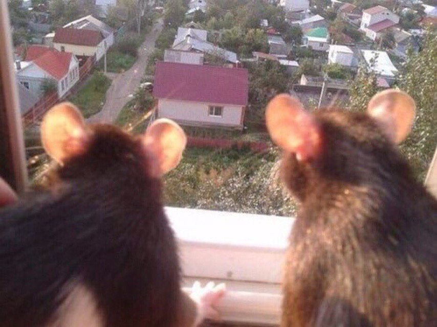 my imagine bf and i high as shit watching the sunset