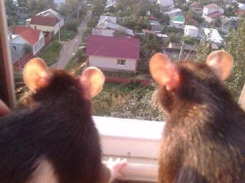 my imagine bf and i high as shit watching the sunset