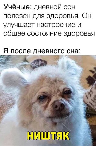 Ученые: дневной сон полезен для здоровья. Он улучшает настроение и общее состояние здоровья Я после дневного сна:
