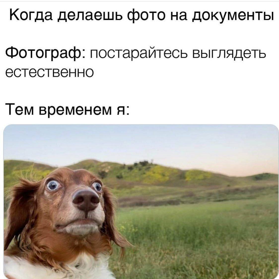 Когда делаешь фото на документы Фотограф: постарайтесь выглядеть естественно Тем временем я: