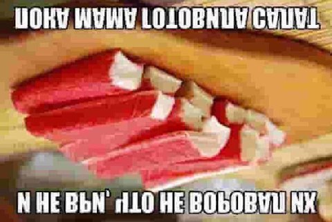 LOLOBNUY МНЕВЬМ «110 HE
