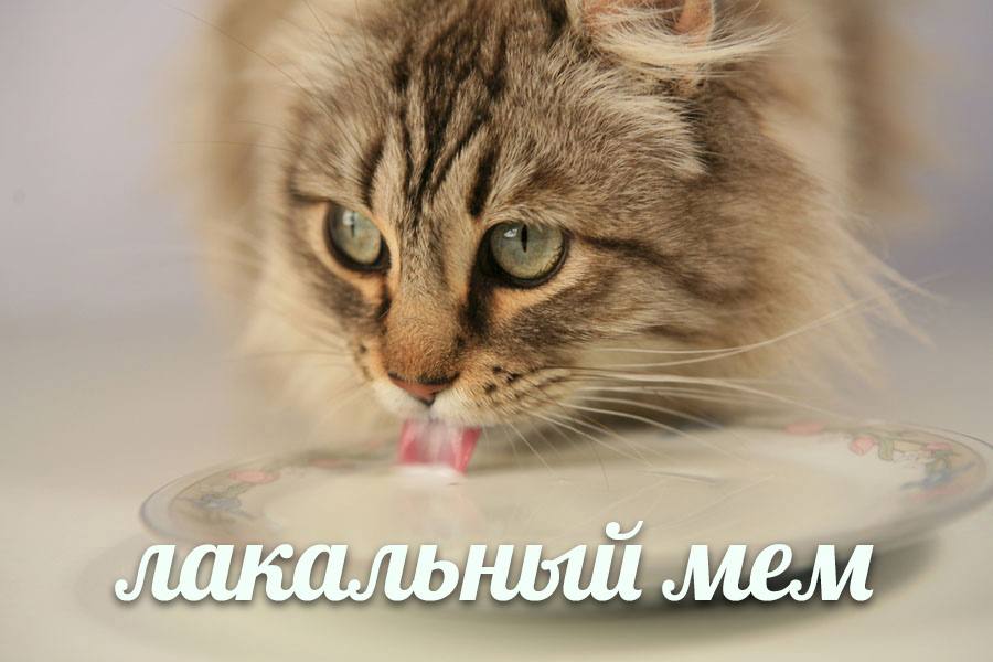 лакальный мем