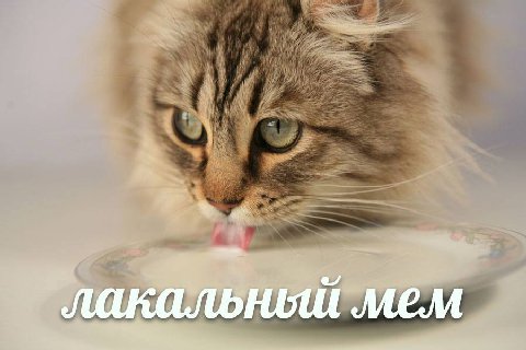 лакальный мем
