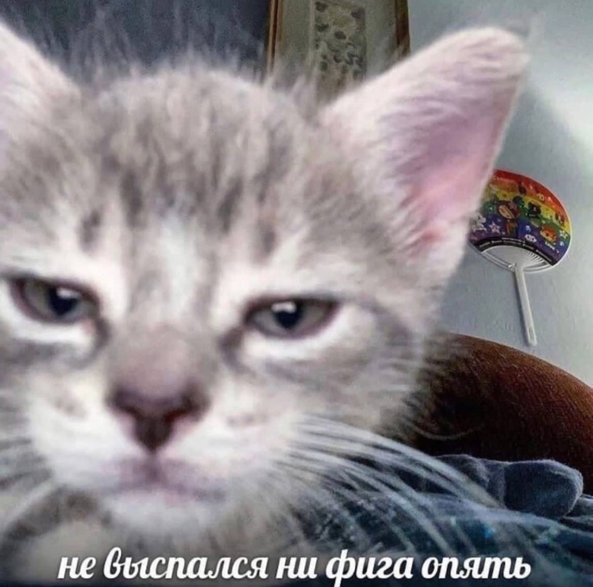не выспался ни фига опять