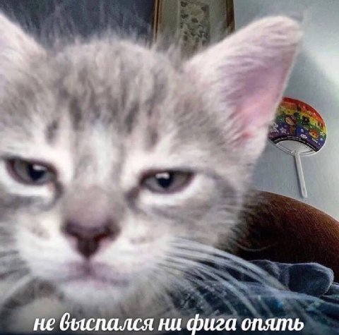 не выспался ни фига опять