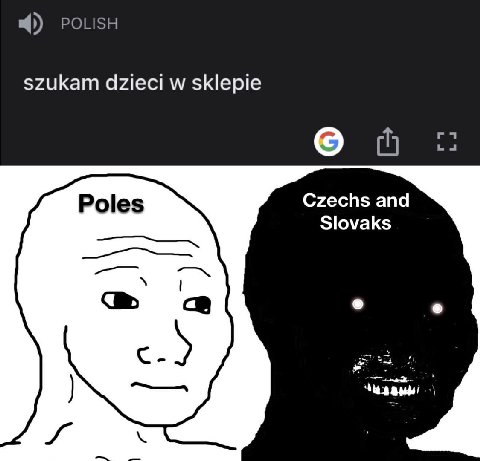 POLISH szukam dzieci sklepie Czechs and Poles Slovaks
