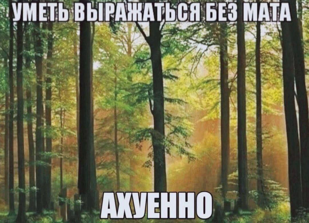 YMETb ВЫРАЖАТЬСЯ АХУЕННО