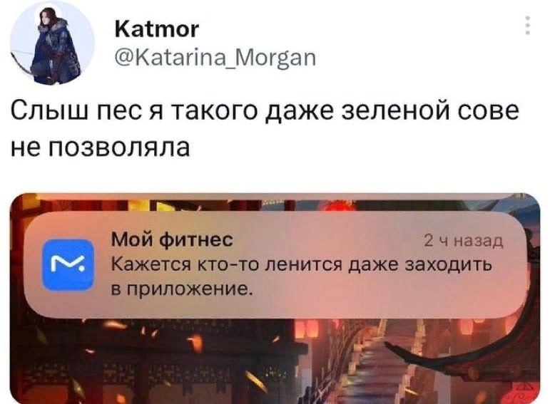 Katmor @Katarina_Morgan в Слыш пес я такого даже зеленой сове не позволяла 24 назад Мой фитнес Кажется кто-то ленится даже заходить 19