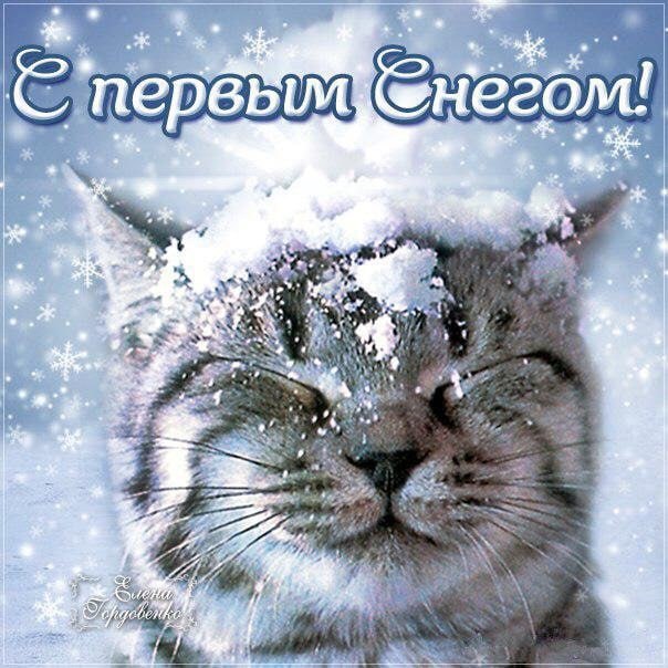 первым 5 4 440