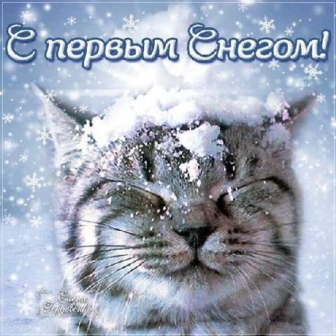 первым 5 4 440
