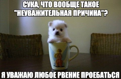 СУКА, ЧТО ВООБЩЕТАКОЕ "НЕУВАЖИТЕЛЬНАЯ у Я УВАЖАЮ ЛЮБОЕ РВЕНИЕ ПРОЕБАТЬСЯ