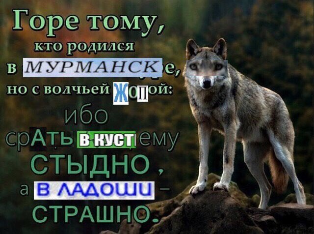 Горетому, кто родился но с волчьей ибо СТЫДНО,