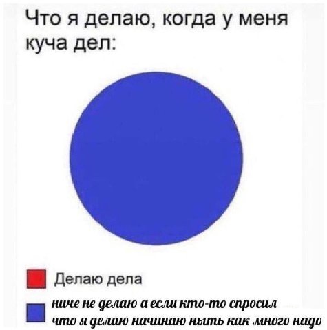 Что я делаю, когда у меня куча дел: делаю дела ниче не делаю аесли кто-то спросил что я делаю начинаю ныть как много надо
