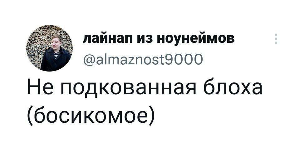 лайнап из ноунеймов Не подкованная блоха (босикомое)