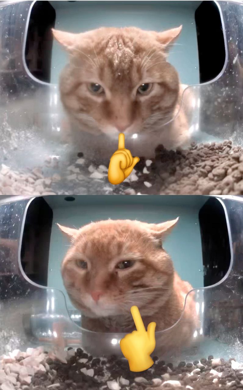 👤 empörung