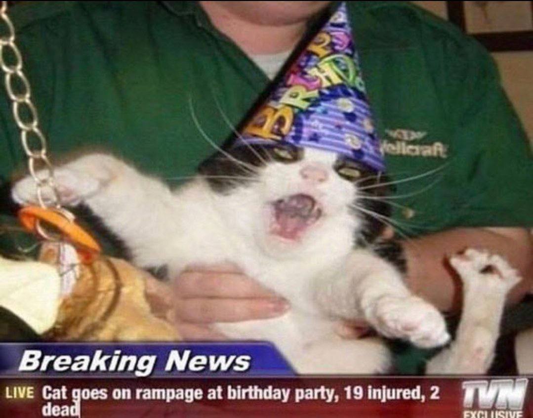 🥳🎉🎊