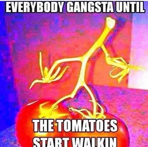 EVERYBODY GANGSTA UNTIL