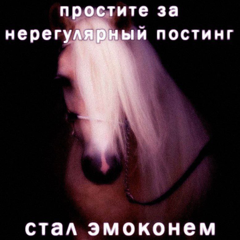 простите за ный постинг нерегуля 341 стал эмоконем