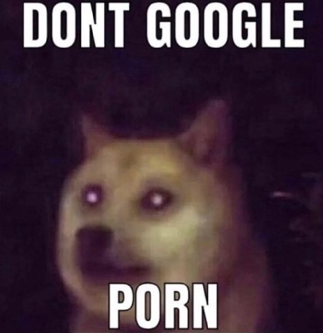 DONT GOOGLE PORN