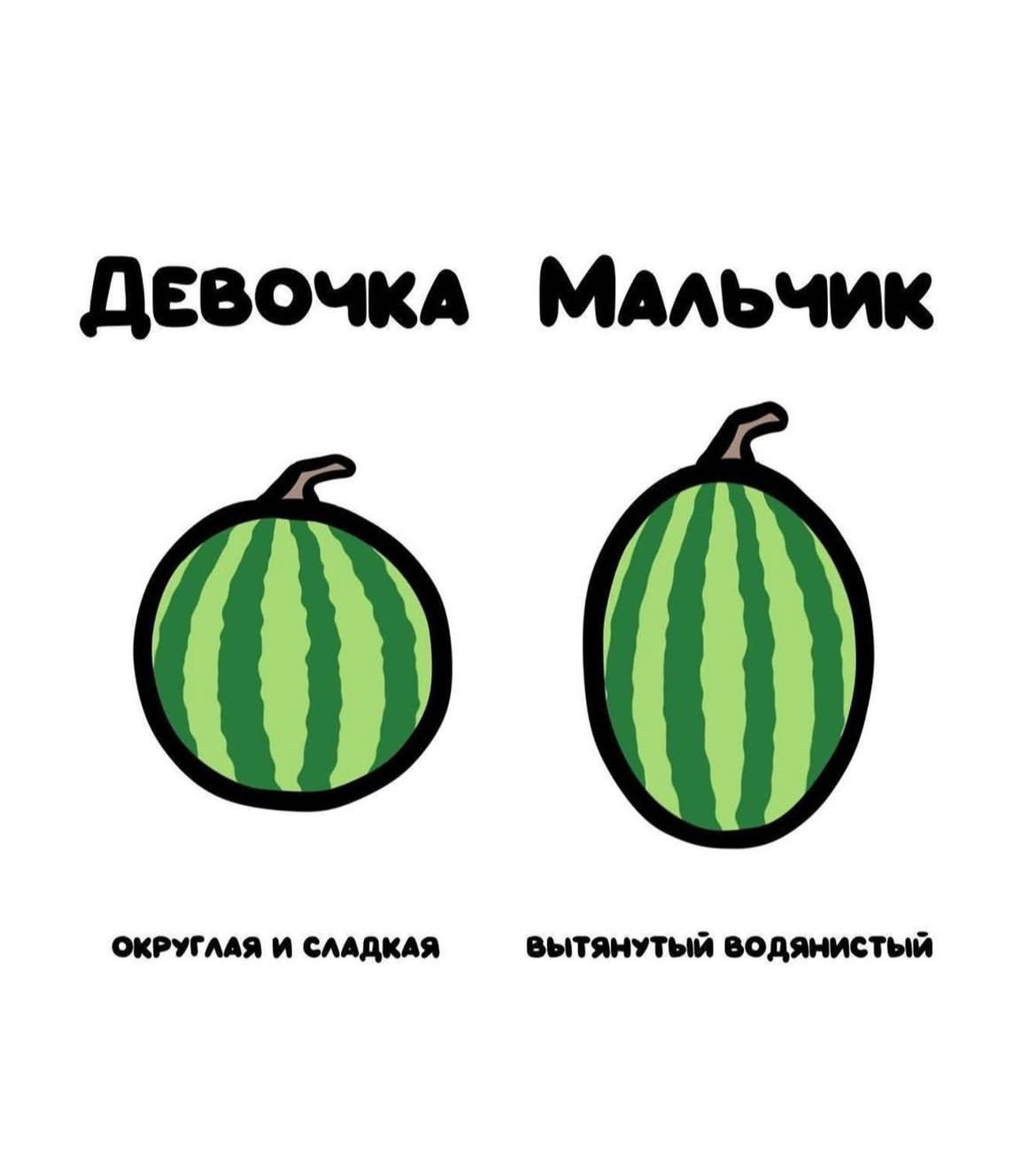 ДА НИКТО НЕ БУДЕТ ЕБАТЬ АРБУЗ ХВАТИТ ДЕЛАТЬ ТАКИЕ КАРТИНКИ 😭😭😭😭