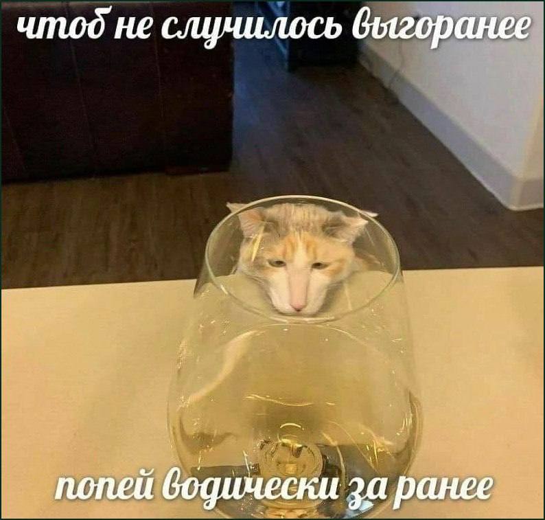 чтод не be 41 ПОПЕИ за ранее