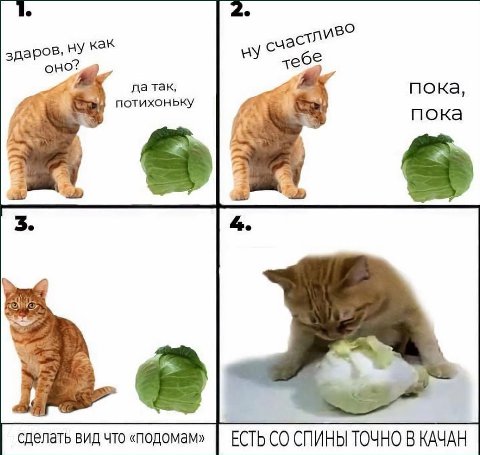 2. здар как чеб да так, пока, отихоньку пока 3. 4. сделать вид что «подомам» ЕСТЬ СПИНЫ ТОЧНО В КАЧАН