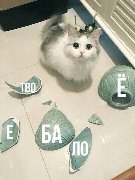 A\ В У