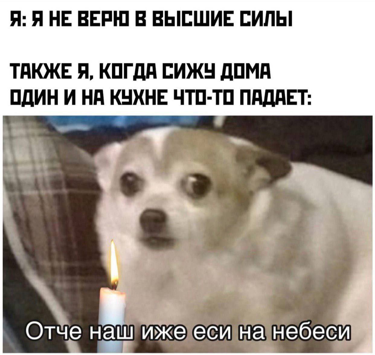Я: Я НЕ ВЕРЮ В ВЫСШИЕ СИЛЫ ТАКЖЕ Я, КОГДА СИЖУ ДОМА ОДИН И НА КУХНЕ ЧТО-ТО ПАДАЕТ: тче нашиже есинанебеси
